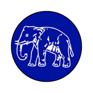 Untitled design - 2025-08-10T140345.438